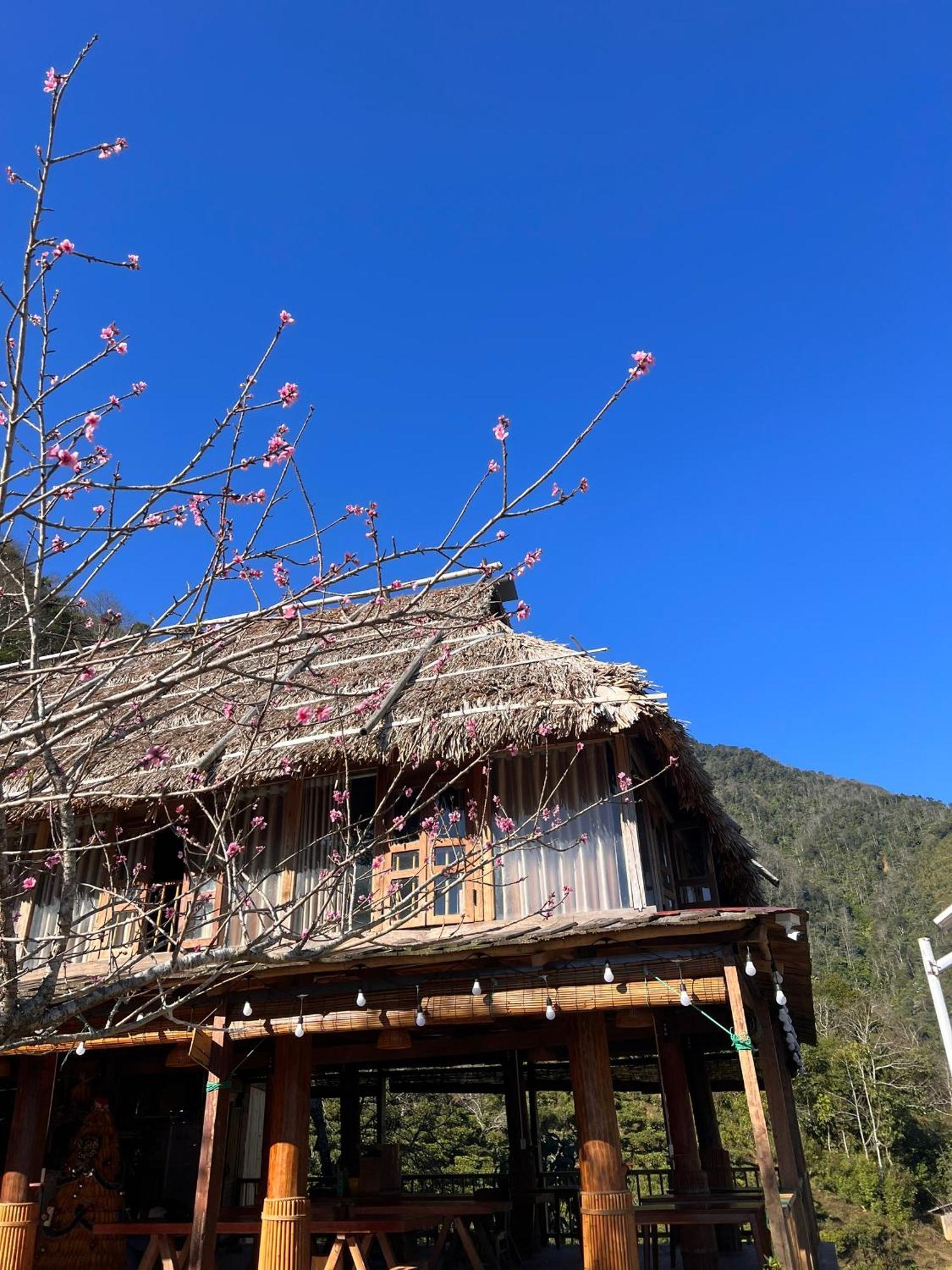 Ta Xua Ecolodge Bac Yen Exteriér fotografie