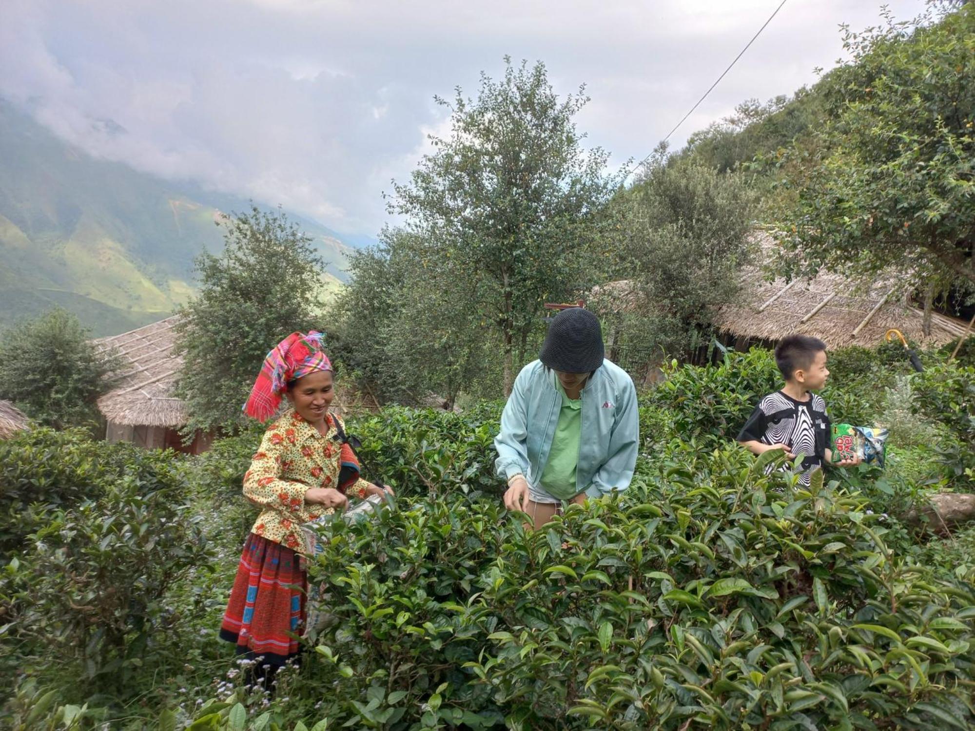 Ta Xua Ecolodge Bac Yen Exteriér fotografie